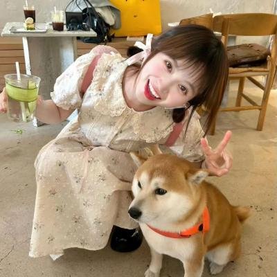 维京命运